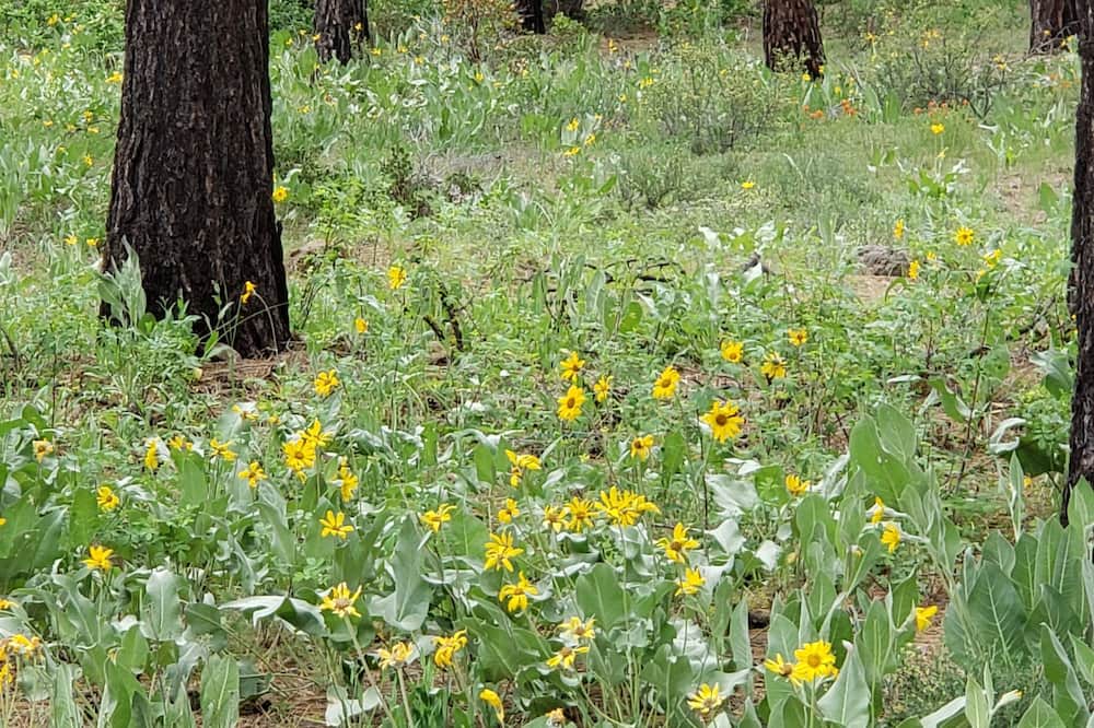 Photo of Outdoor in Lakeview