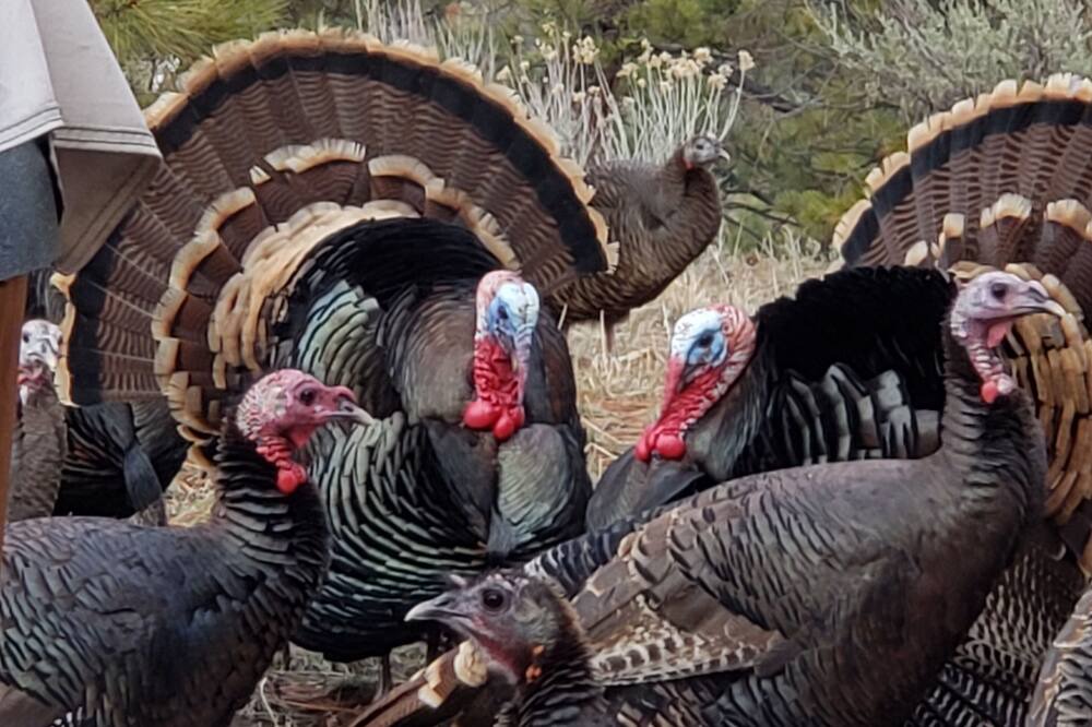 Photo of Others in Lakeview