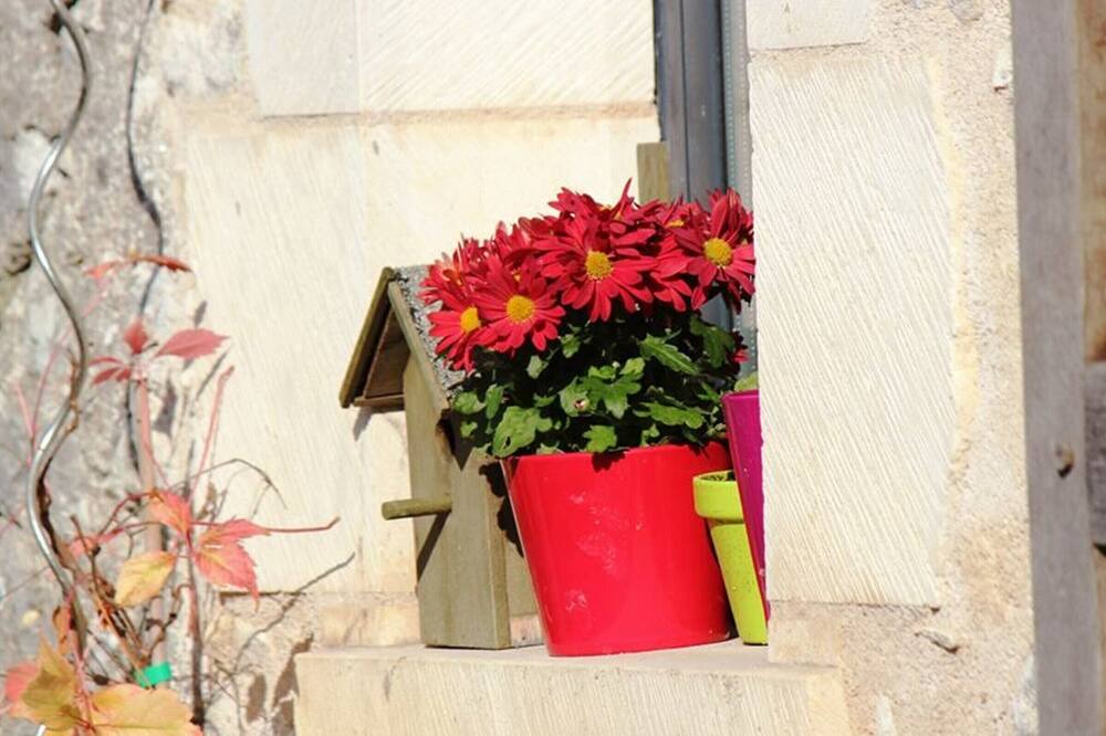 Photo of Outdoor in Pouligny-Saint-Pierre
