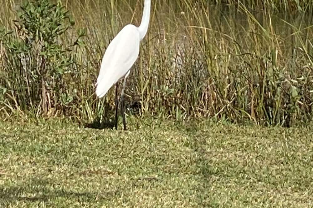 Photo of Others in Carteret County