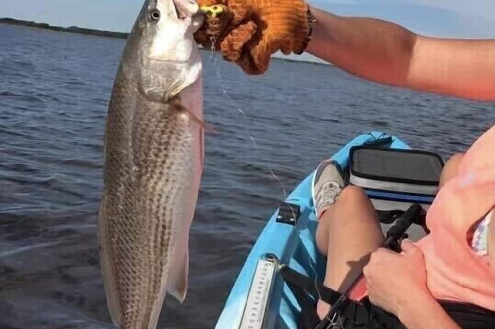 Photo of Others in Carteret County