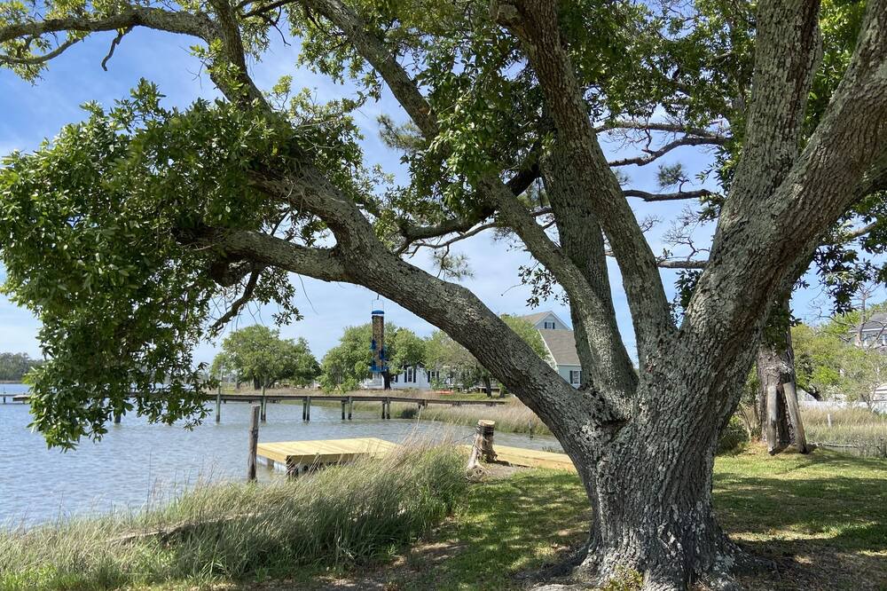 Photo of Outdoor in Carteret County