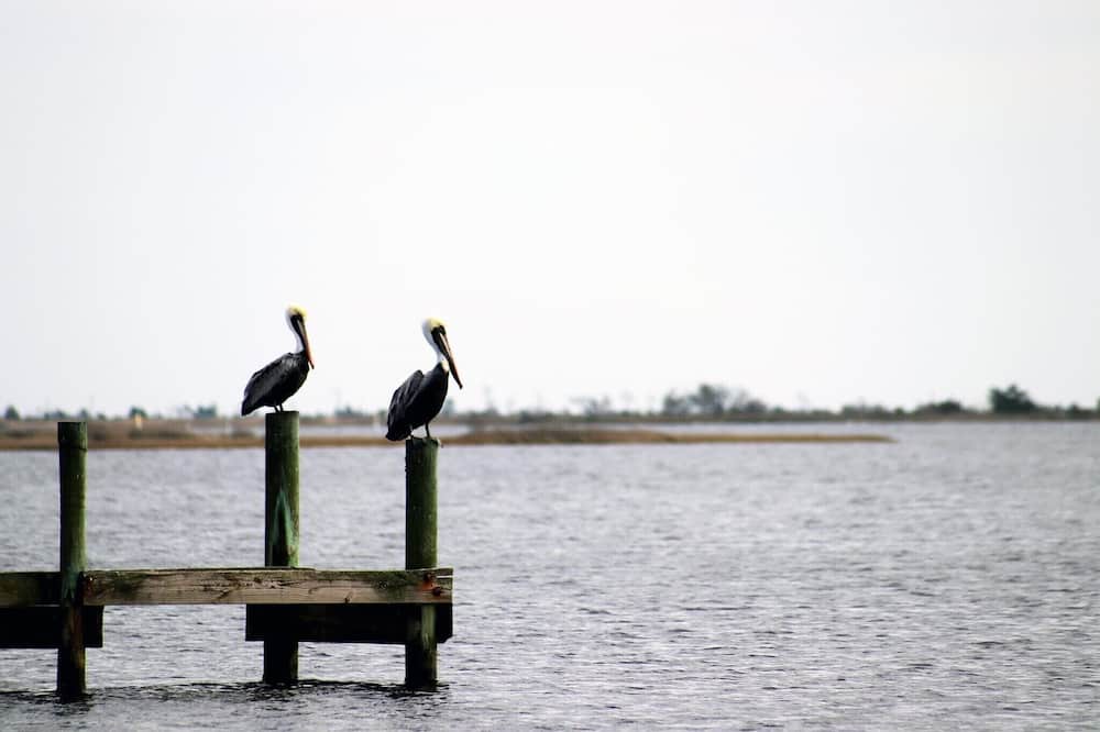 Photo of Others in Carteret County