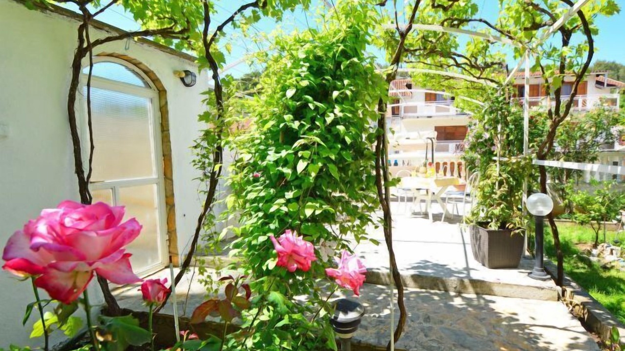 Photo of Outdoor in Zaton