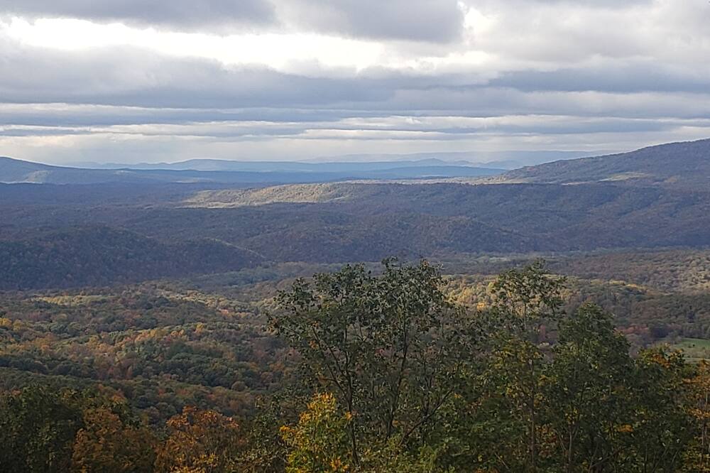 Photo of Others in Great Cacapon