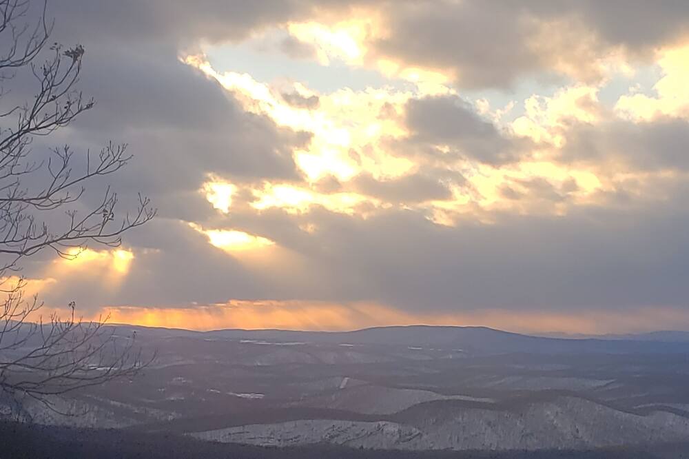 Photo of Others in Great Cacapon