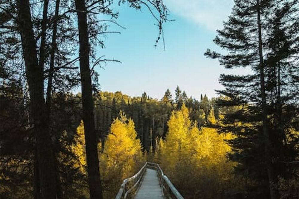 Photo of Outdoor in Wasagaming