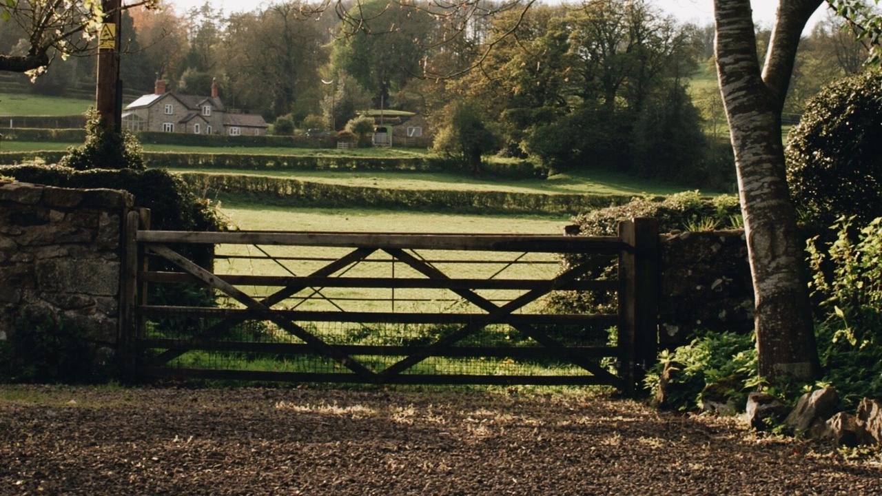 Photo of Others in Longford