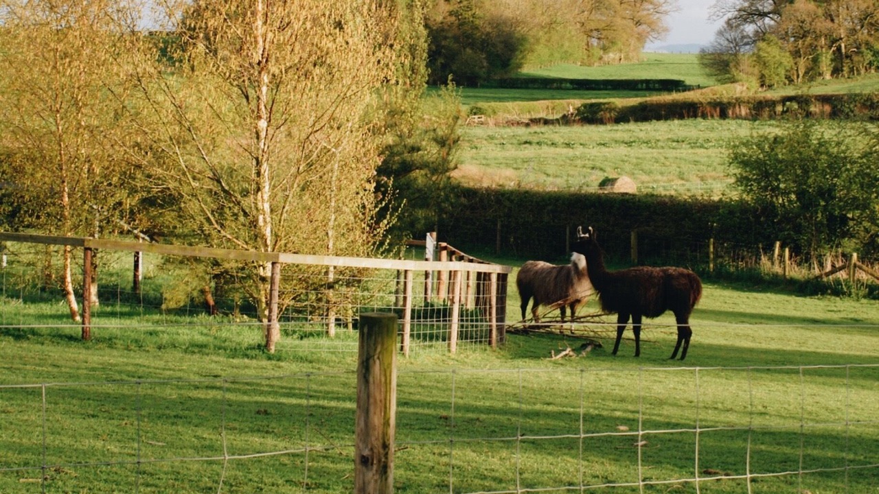 Photo of Others in Longford