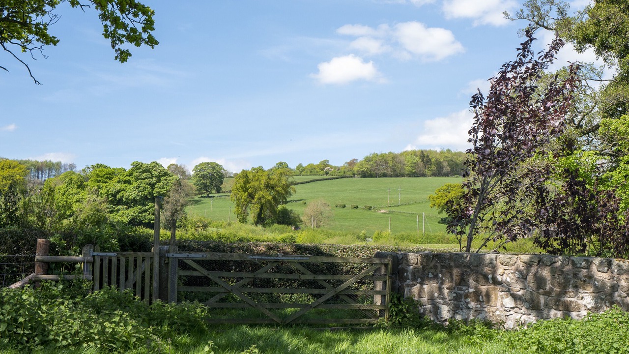 Photo of Others in Longford