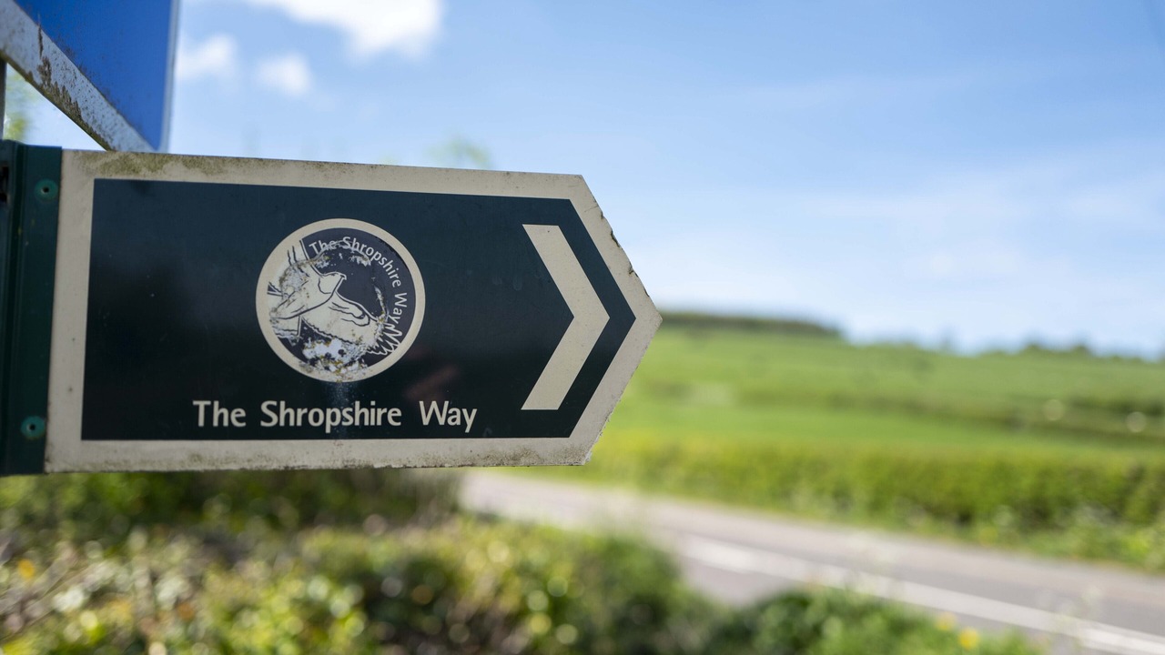 Photo of Others in Longford