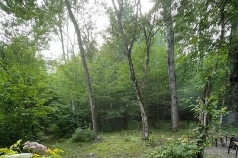 Photo of Others in Smithville Flats