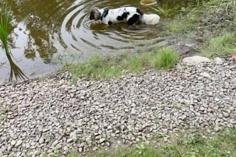 Photo of Others in Smithville Flats