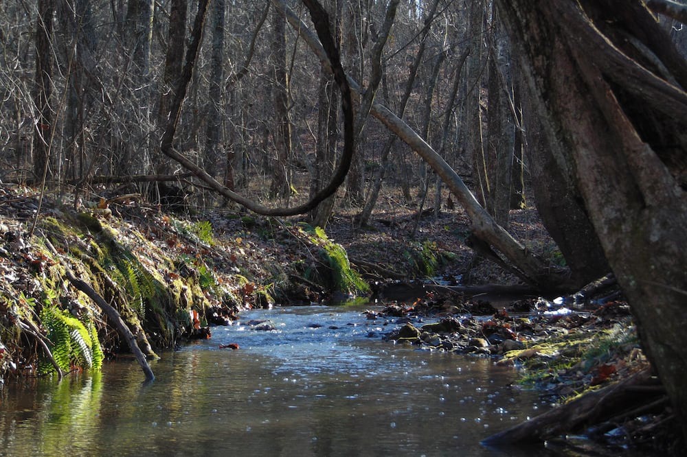Photo of Others in Pittsville