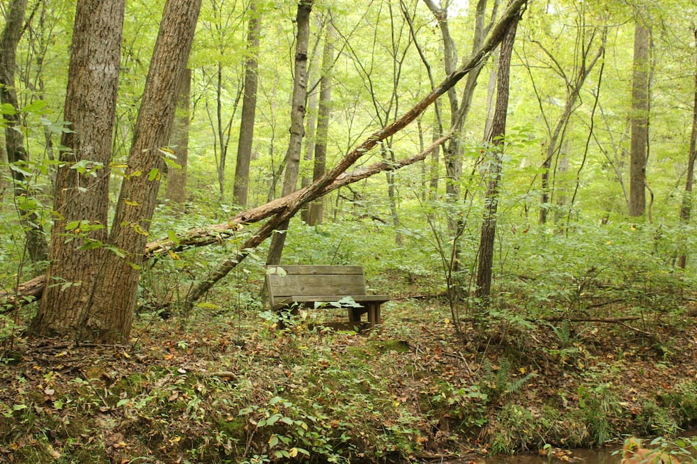 Photo of Others in Pittsville