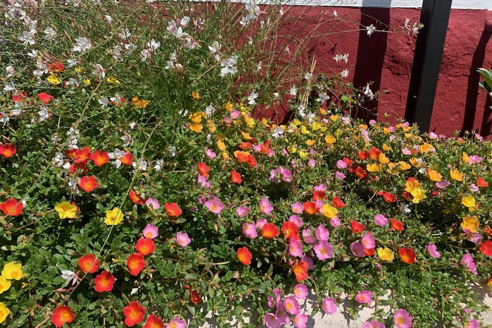 Photo of Outdoor in Ucles