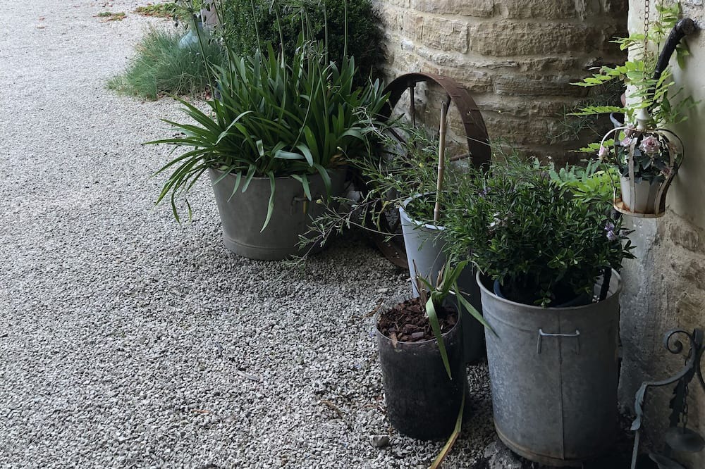 Photo of Outdoor in Massac