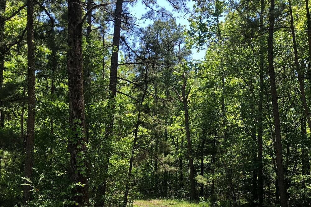 Photo of Outdoor in Boles