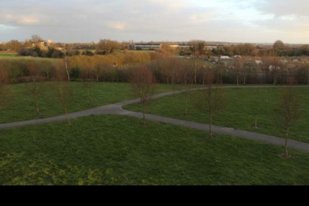 Photo of Others in Chelmsford