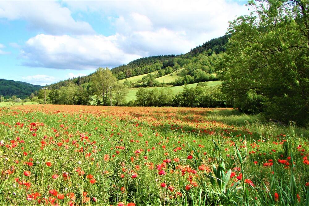 Photo of Outdoor in Chalabre