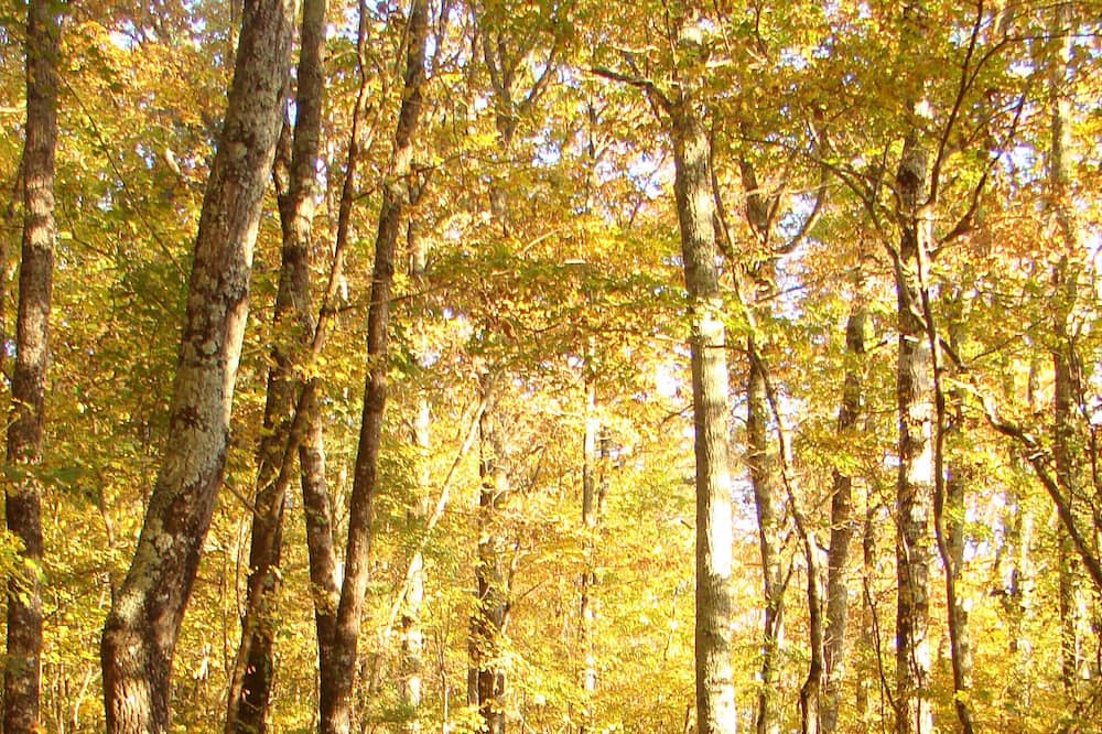 Photo of Outdoor in Chalabre