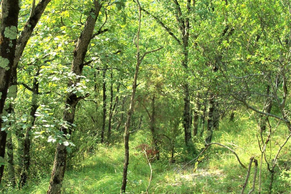 Photo of Outdoor in Chalabre