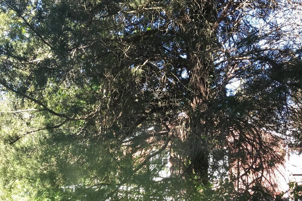Photo of Outdoor in Mount Jackson