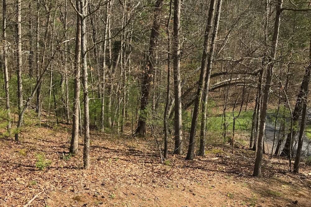 Photo of Outdoor in Mount Jackson