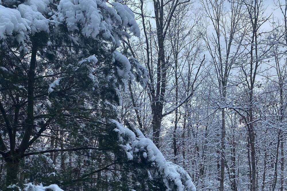 Photo of Outdoor in Mount Jackson