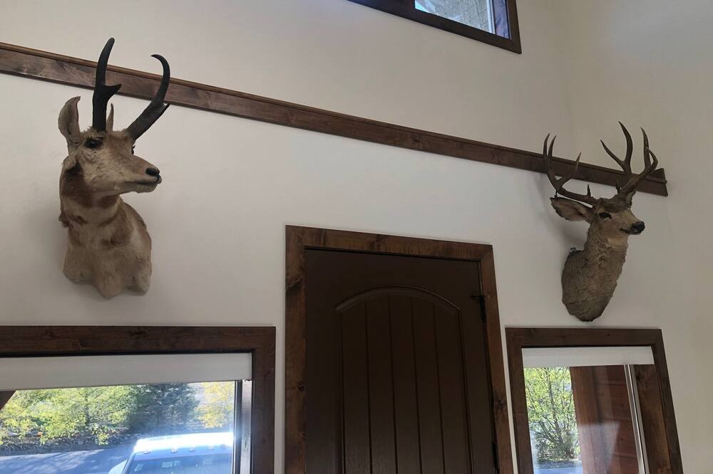 Photo of Others in Afton