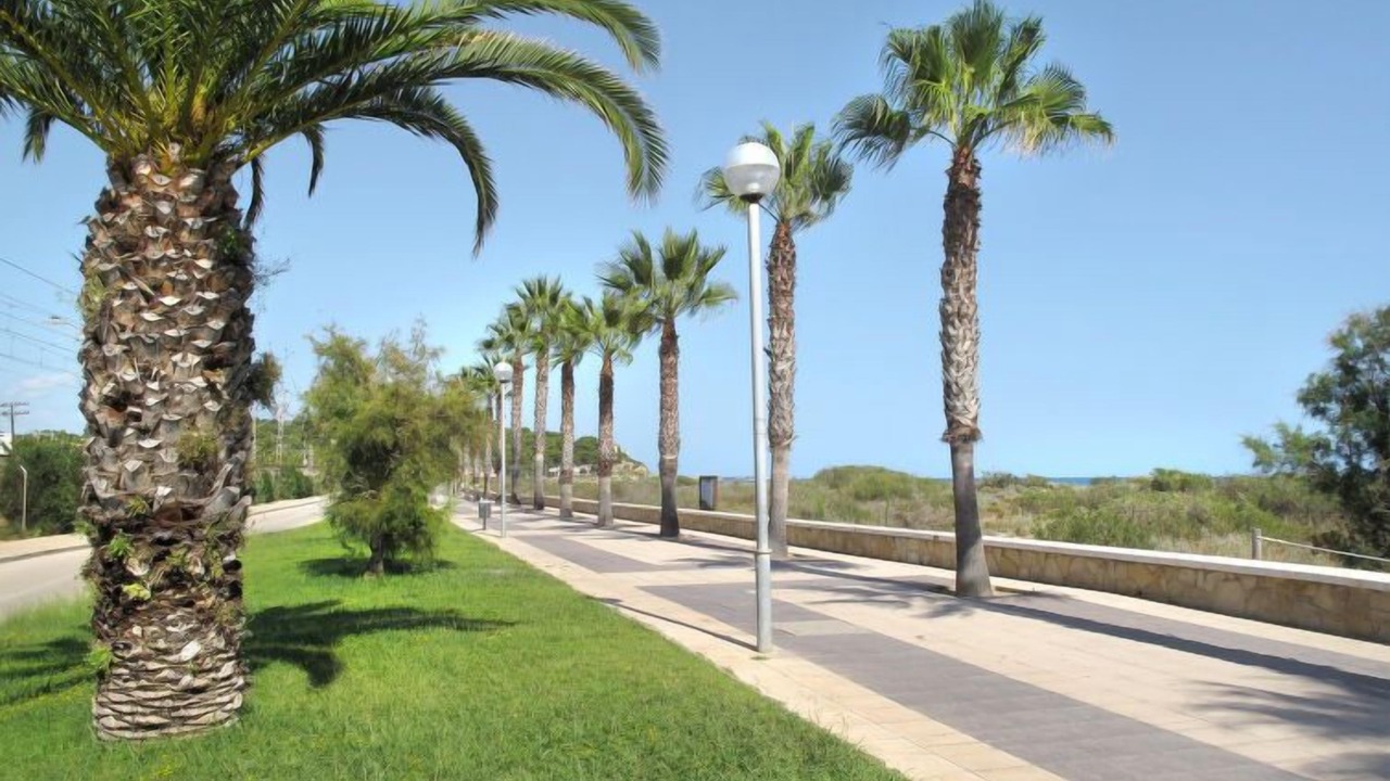 Photo of Outdoor in Roda de Bara