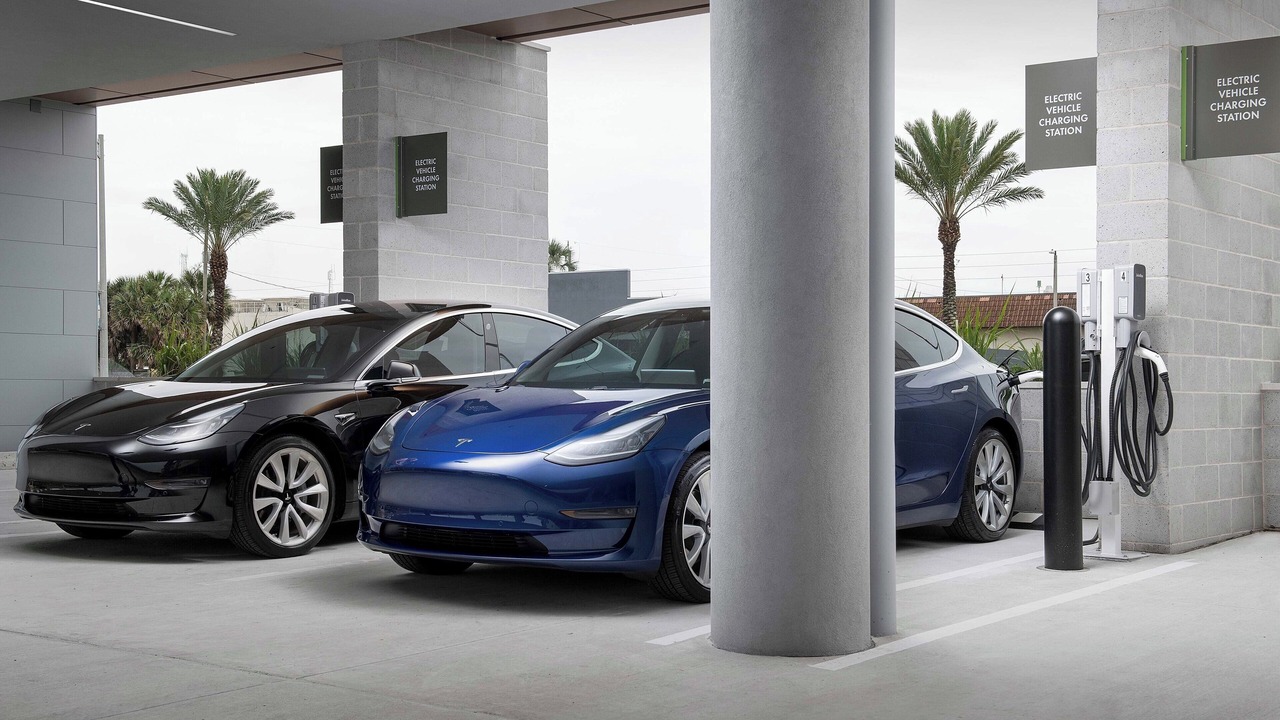 Photo of Others in Jacksonville Beach