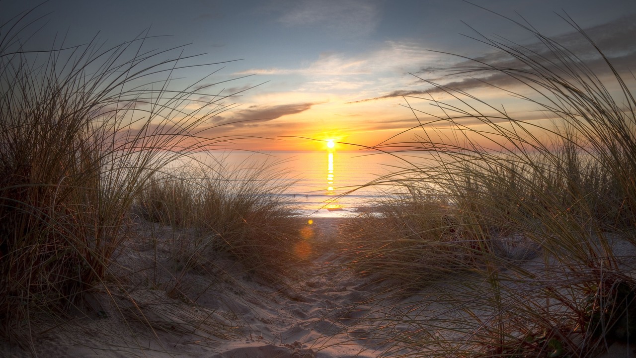 Photo of Others in Jacksonville Beach