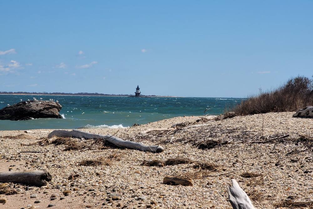 Photo of Others in Orient Point