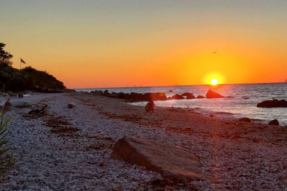 Photo of Others in Orient Point