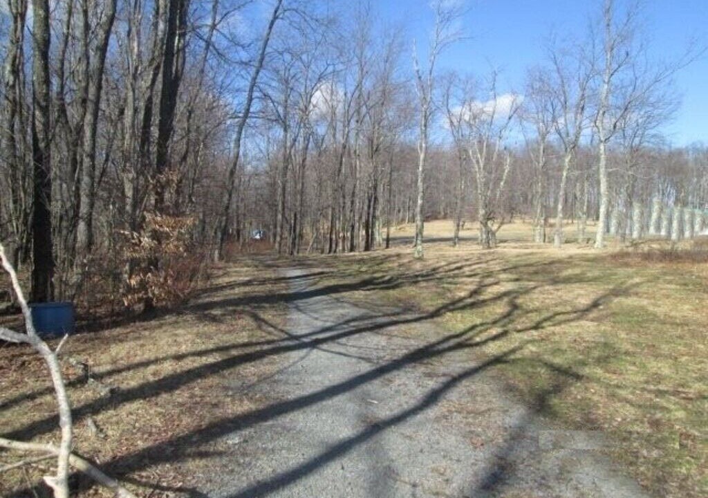 Photo of Outdoor in Livingston Manor