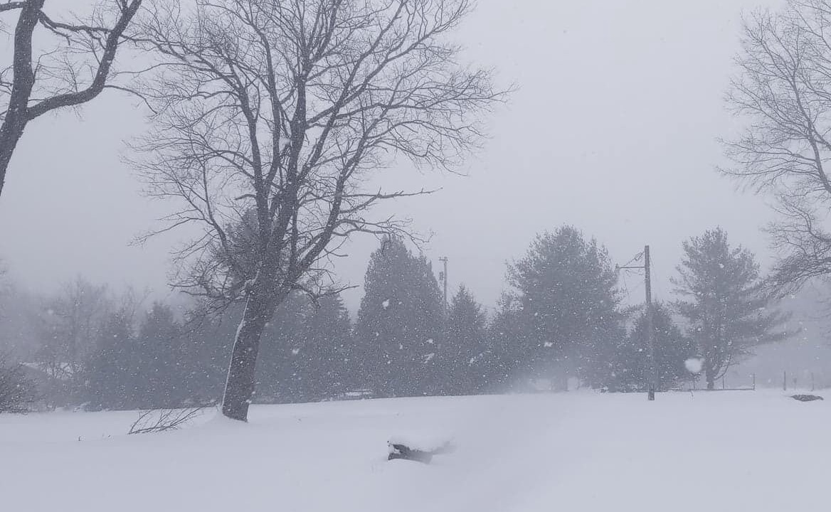 Photo of Others in Livingston Manor