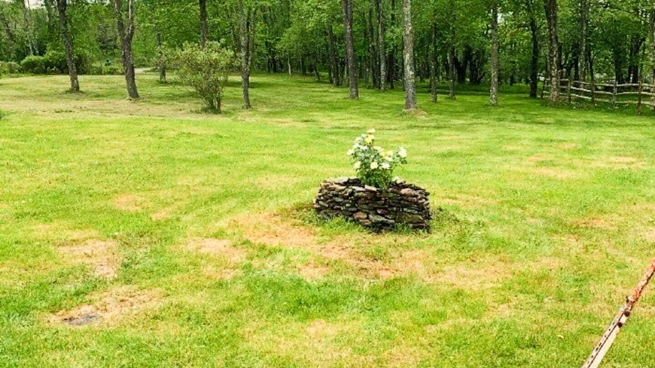 Photo of Outdoor in Livingston Manor