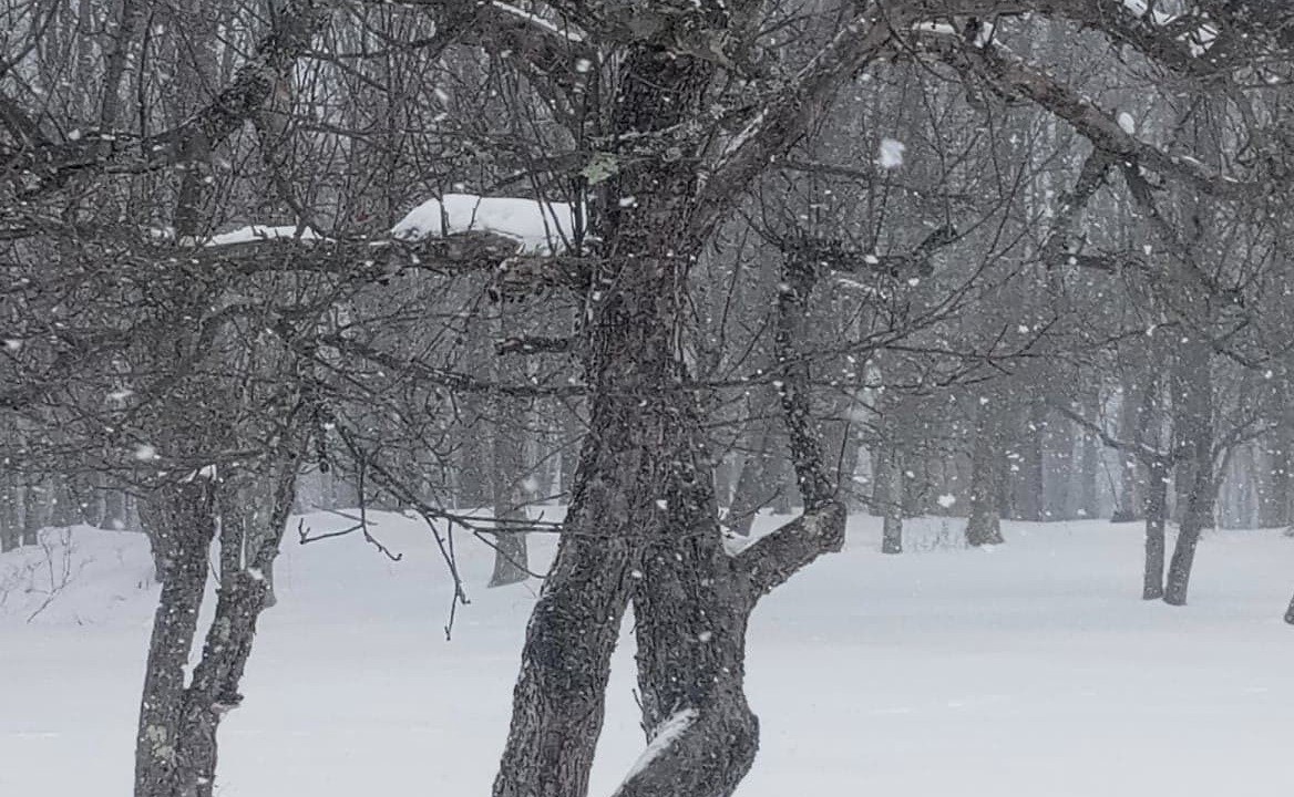 Photo of Others in Livingston Manor