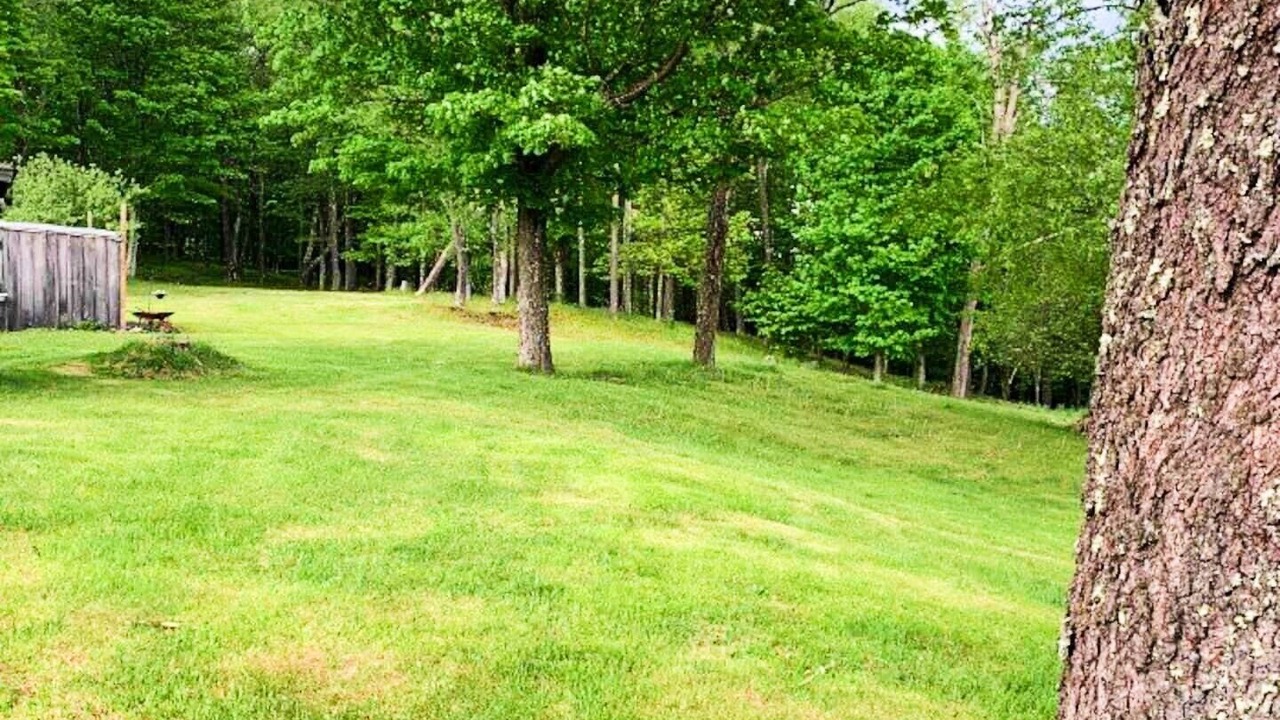 Photo of Others in Livingston Manor