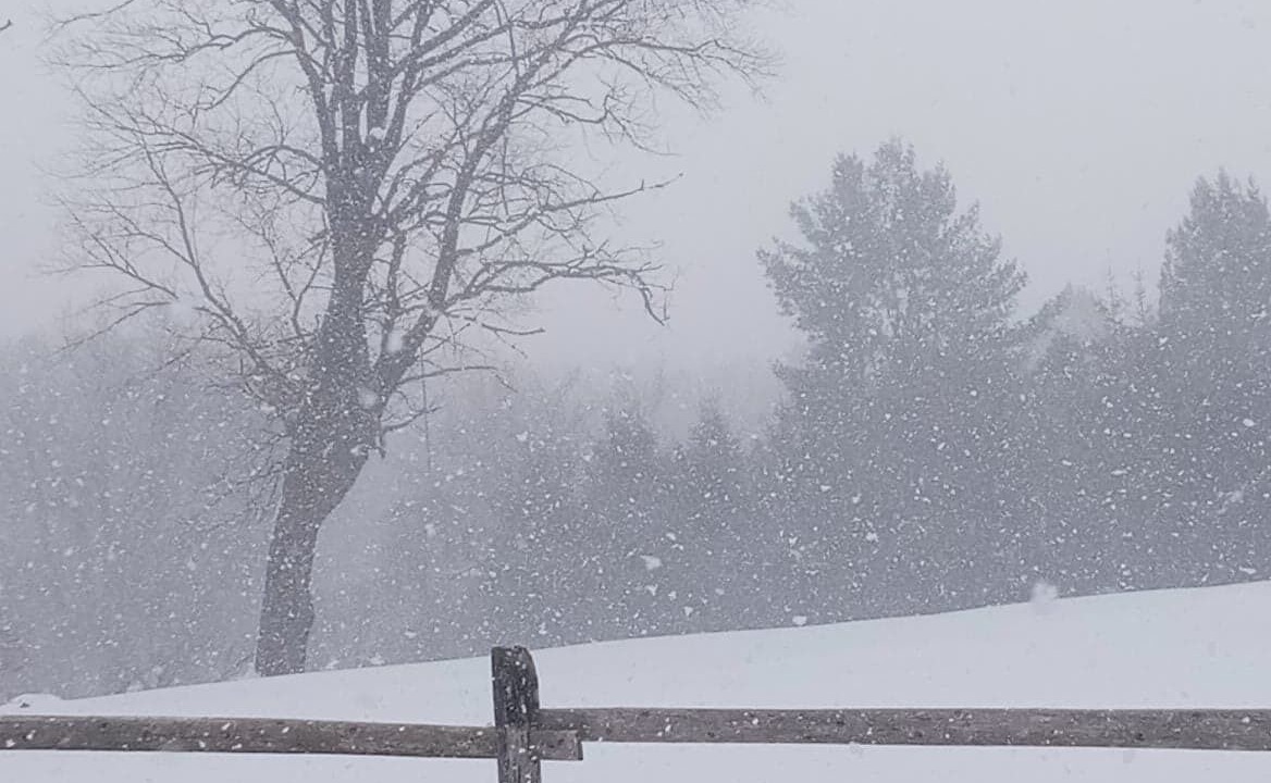 Photo of Others in Livingston Manor