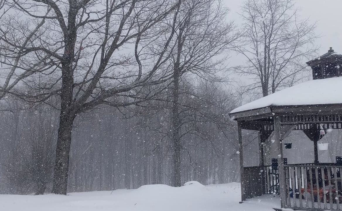 Photo of Outdoor in Livingston Manor