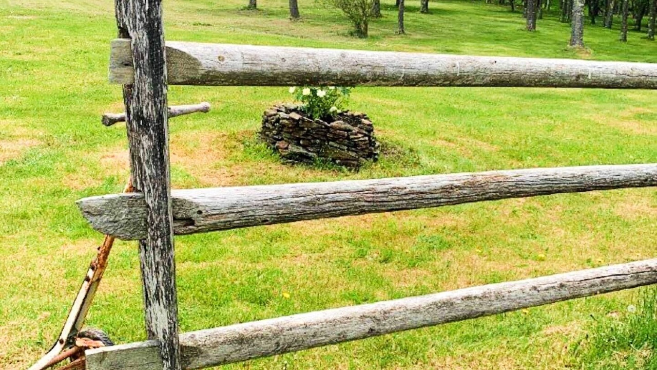 Photo of Outdoor in Livingston Manor