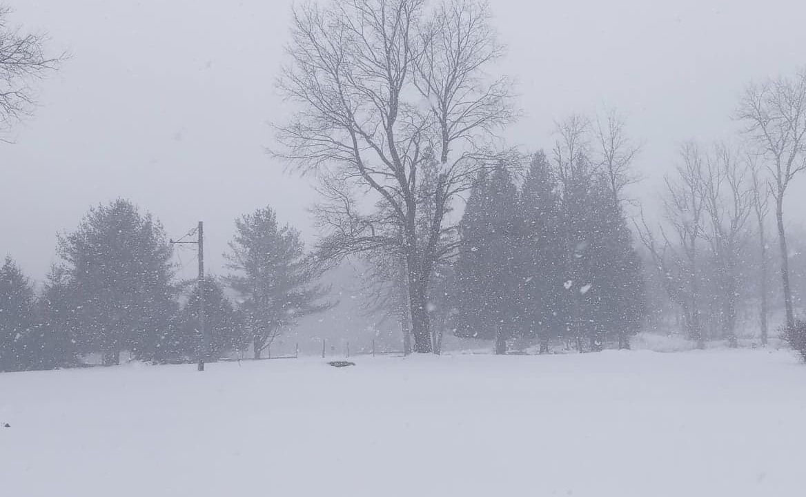 Photo of Others in Livingston Manor