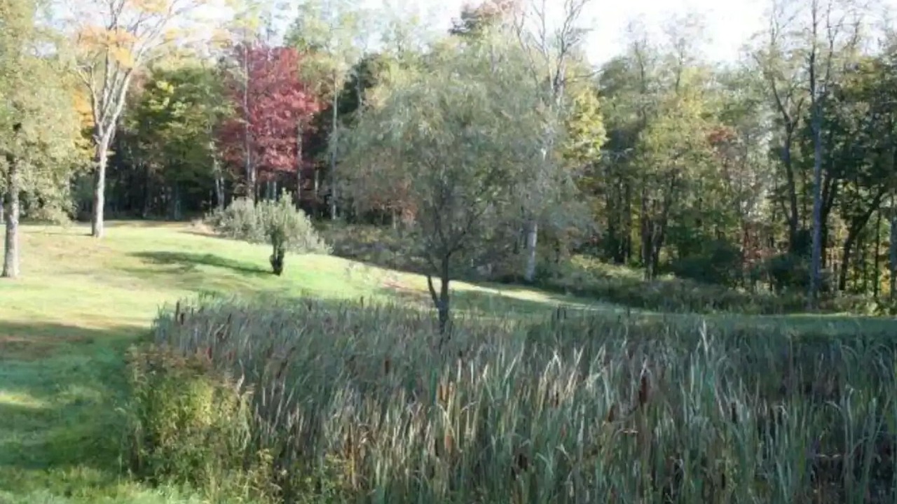 Photo of Outdoor in Livingston Manor