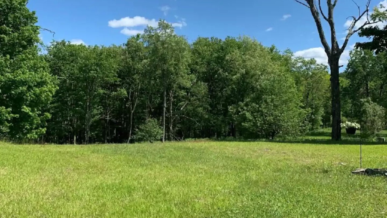 Photo of Outdoor in Livingston Manor