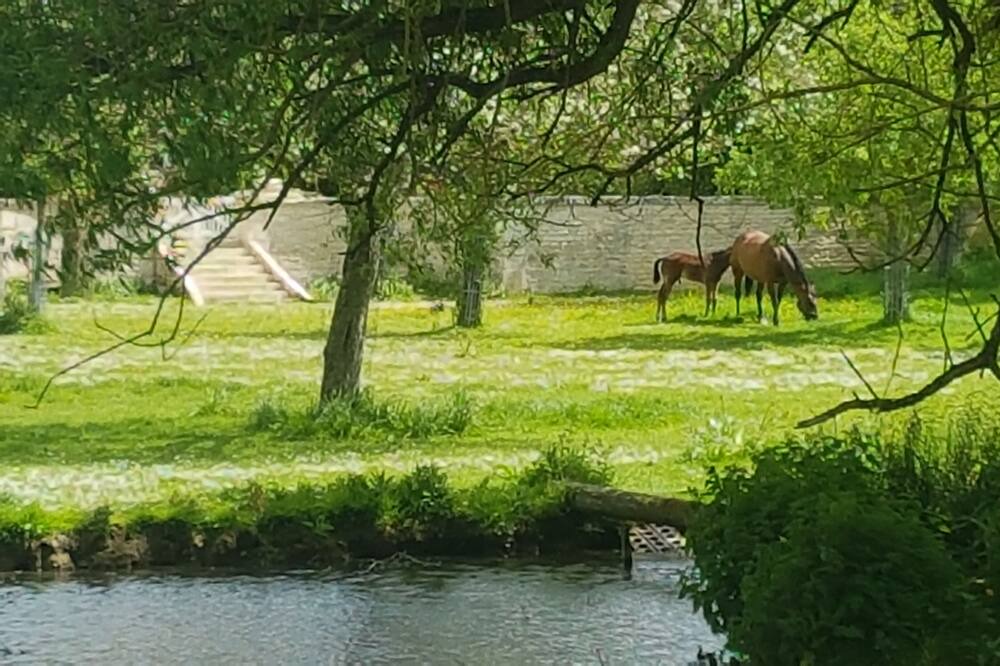 Photo of Outdoor in Periers-sur-le-Dan