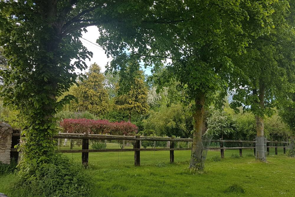 Photo of Outdoor in Periers-sur-le-Dan