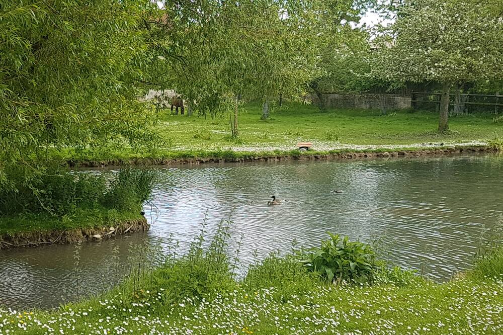 Photo of Outdoor in Periers-sur-le-Dan