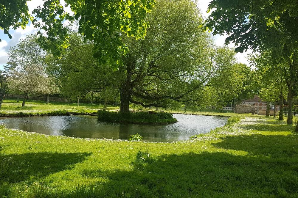 Photo of Outdoor in Periers-sur-le-Dan